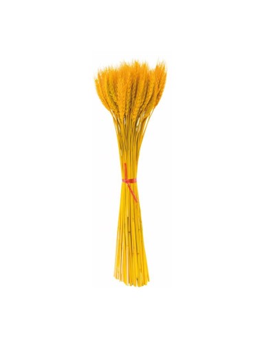 Paquete de ramas de trigo para la decoración de fiestas populares y escaparates