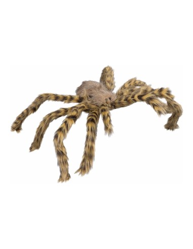 Araña rayada para Halloween en escaparates de tiendas