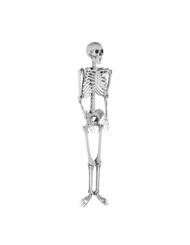 Esqueleto para la fiesta de Halloween