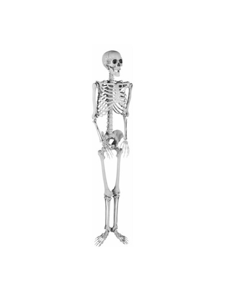 Esqueleto para la fiesta de Halloween
