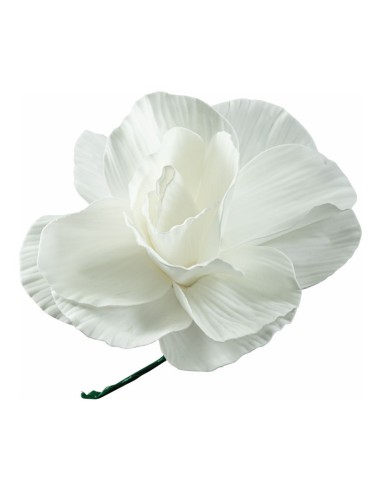 Rosa peonía para la decoración del día de los enamorados en centros comerciales tiendas