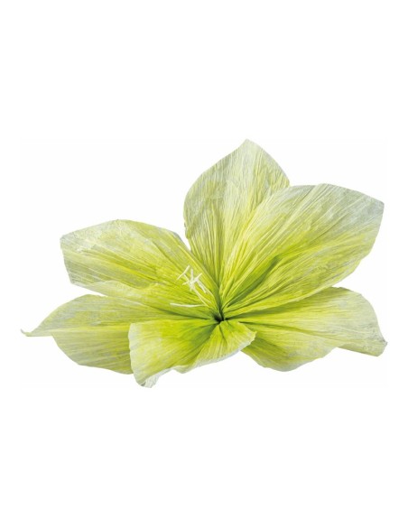 Cabeza de flor para escaparates de primavera en tiendas y centros comerciales