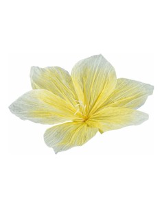 Cabeza de flor para escaparates de primavera en tiendas y centros comerciales 2