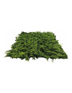 Panel de hierba de setos para decorar escaparates con paneles de césped y flores artificiales 2