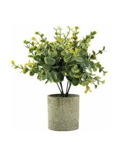 Eucalipto en macetero para decorar con plantas y árboles artificiales en escaparates 2