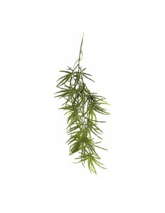 Planta de aralia colgante para decorar con plantas y árboles artificiales en escaparates 2