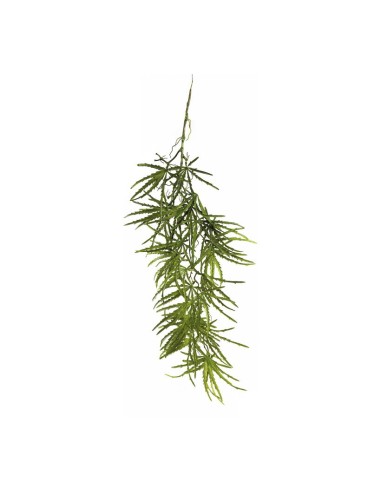 Planta de aralia colgante para decorar con plantas y árboles artificiales en escaparates