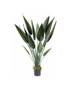 Planta Ave del paraíso con macetero para decorar con plantas y árboles artificiales en escaparates 2