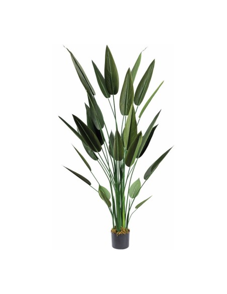 Planta Ave del paraíso con macetero para decorar con plantas y árboles artificiales en escaparates
