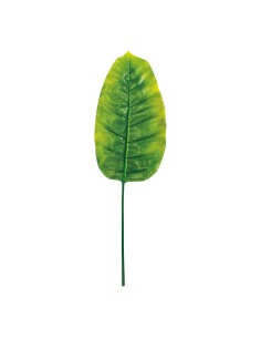 Hoja de banana para decorar con ramas y hojas en escaparates 2