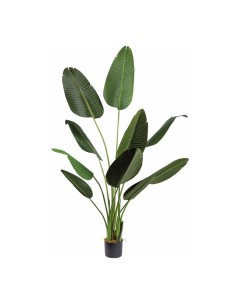 Planta de banano en macetero para decorar con plantas y árboles artificiales en escaparates 2