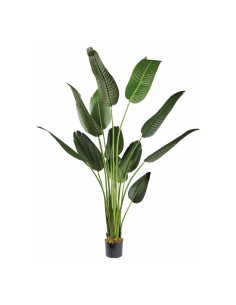 Planta de banano en macetero para decorar con plantas y árboles artificiales en escaparates 2