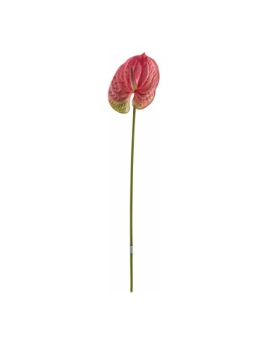 Tallo de flor de flamenco o anturio para escaparates veraniegos con helados en tiendas