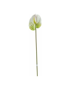 Tallo de flor de flamenco o anturio para escaparates veraniegos con helados en tiendas 2