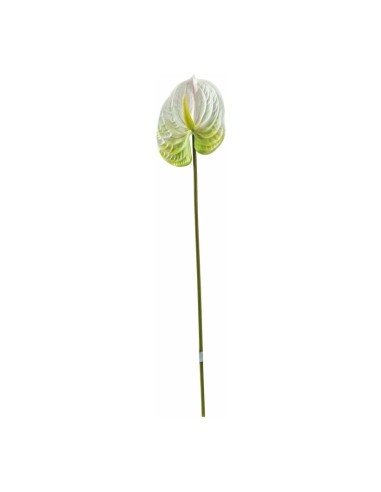Tallo de flor de flamenco o anturio para escaparates veraniegos con helados en tiendas