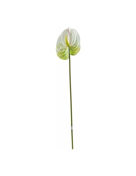 Tallo de flor de flamenco o anturio para escaparates veraniegos con helados en tiendas