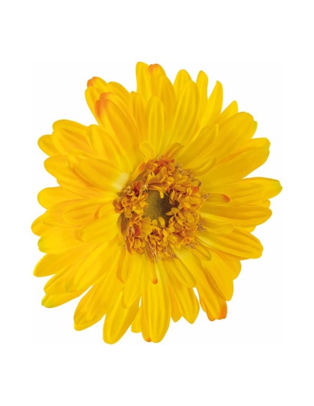 Cabeza de flor gerbera para escaparates veraniegos con helados en tiendas