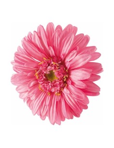 Cabeza de flor gerbera para escaparates veraniegos con helados en tiendas 2