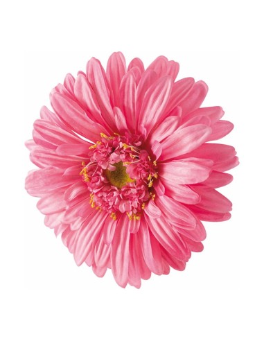 Cabeza de flor gerbera para escaparates veraniegos con helados en tiendas