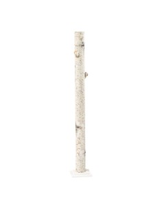 Tronco de abedul para la decoración otoñal de escaparates y espacios 2