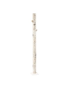 Tronco de abedul para la decoración otoñal de escaparates y espacios 2