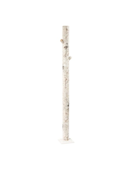 Tronco de abedul para la decoración otoñal de escaparates y espacios