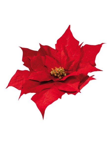 Flor de pascua para la decoración de centros comerciales calles y tiendas