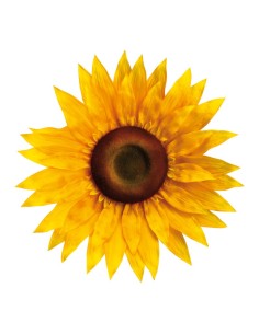 Flor girasol para escaparates veraniegos con helados en tiendas 2
