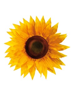Flor girasol para escaparates veraniegos con helados en tiendas 2