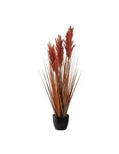 Planta en maceta para la decoración otoñal de escaparates y espacios 2