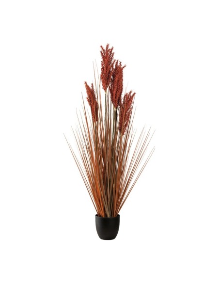 Planta en maceta para la decoración otoñal de escaparates y espacios