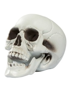 Cabeza de calavera para la fiesta de Halloween 2