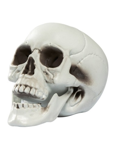 Cabeza de calavera para la fiesta de Halloween