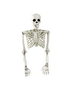 Esqueleto torso para la fiesta de Halloween 2