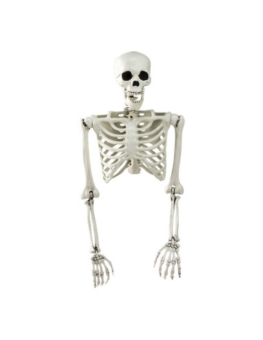 Esqueleto torso para la fiesta de Halloween