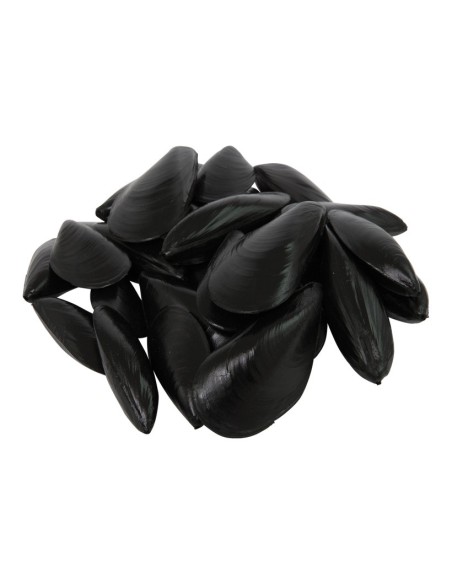 Imitación de mejillones para pescaderías y la decoración de escaparates de tiendas o comercios