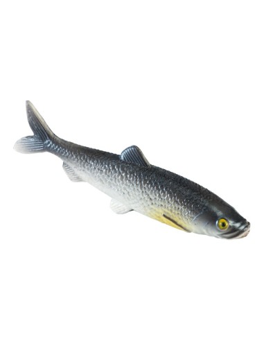 Imitación de lubina del atlántico para pescaderías y la decoración de escaparates de tiendas o comercios
