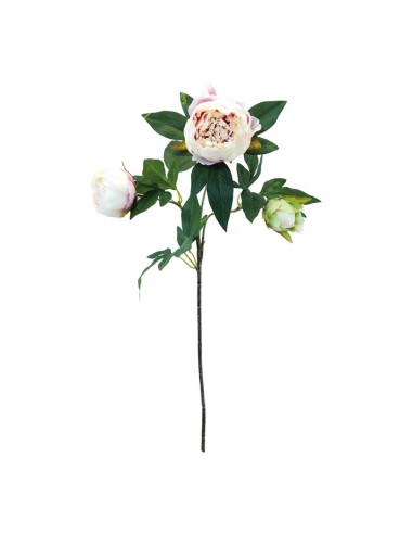 Flor peonía para escaparates de primavera en tiendas y centros comerciales
