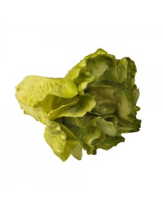 Imitación lechuga española verde