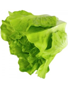 Imitación lechuga romana verde