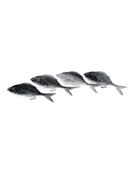 Imitación de sardinas para pescaderías y la decoración de escaparates de tiendas o comercios