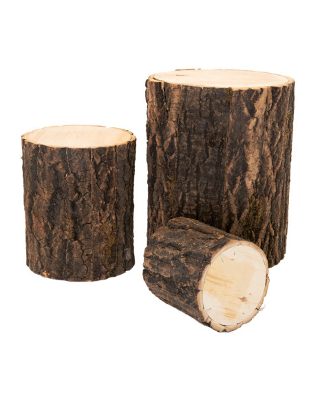 Troncos de madera para la decoración otoñal de escaparates y espacios