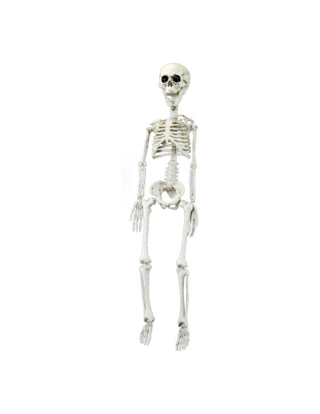 Esqueleto decorativo para la fiesta de Halloween