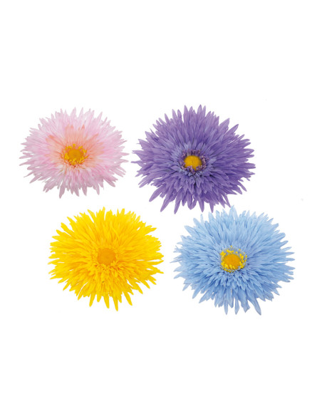 Flores de gerbera para la decoración de verano en escaparates de tiendas o comercios